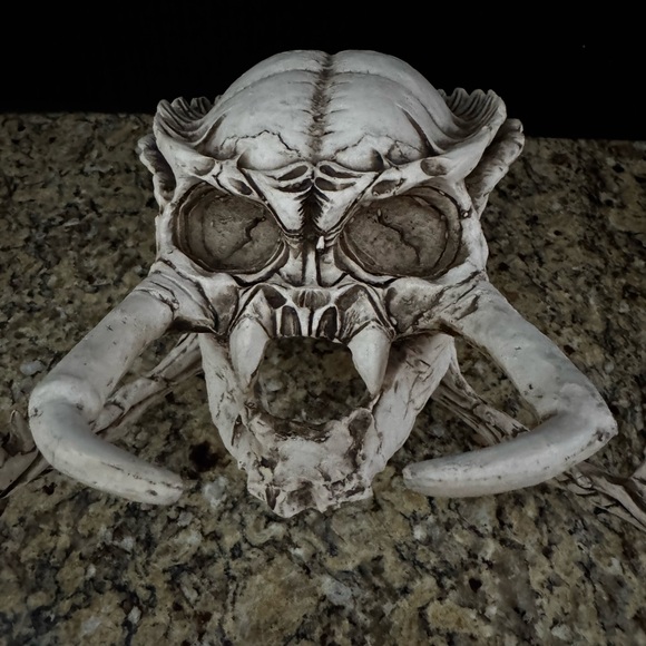 Predator skull Yautja Trophy from Alien vs. Predator and Predator movies Resin - Picture 4 of 10